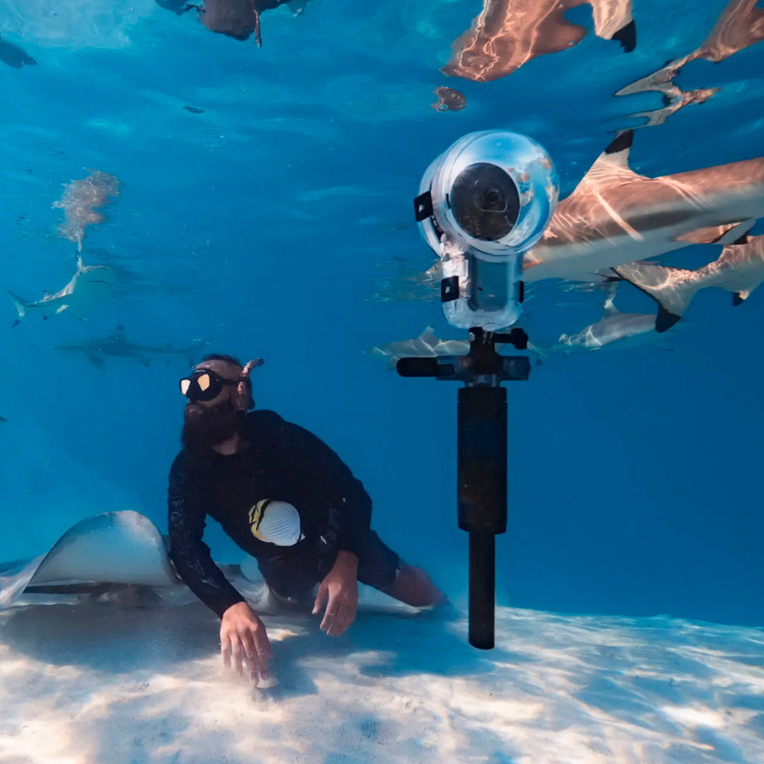 Dive Buddy Oficial Insta360 | Flotador y Trípode Submarino - Insta360 Colombia