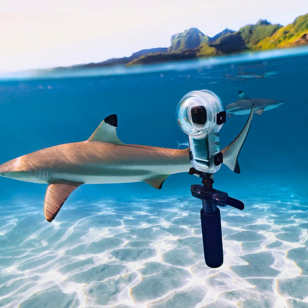 Dive Buddy Oficial Insta360 | Flotador y Trípode Submarino - Insta360 Colombia