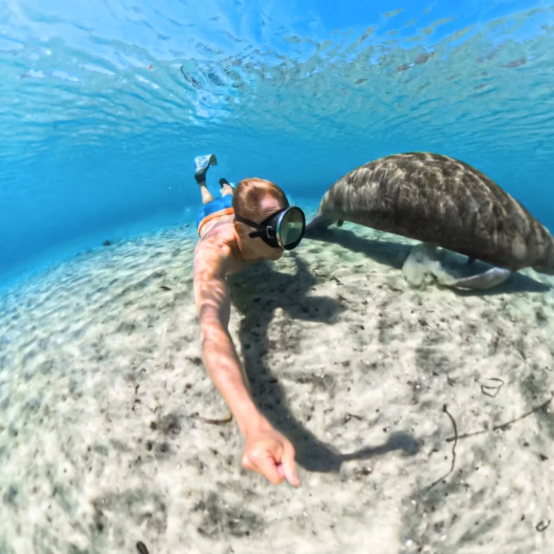 Funda de buceo invisible para insta360 X5 - Insta360 Colombia