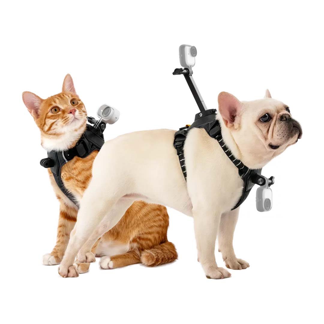 Montura de arnés para mascotas talla S - Insta360 Colombia