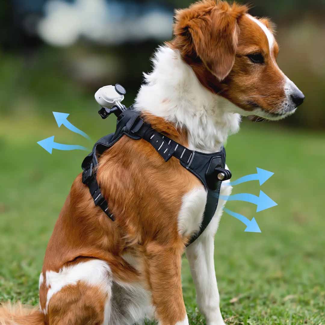 Montura de arnés para mascotas talla M - Insta360 Colombia