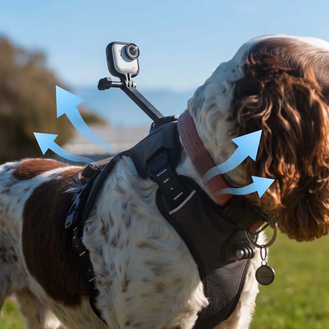 Montura de arnés para mascotas talla M - Insta360 Colombia