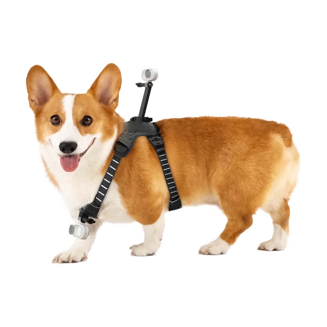 Montura de arnés para mascotas talla M - Insta360 Colombia