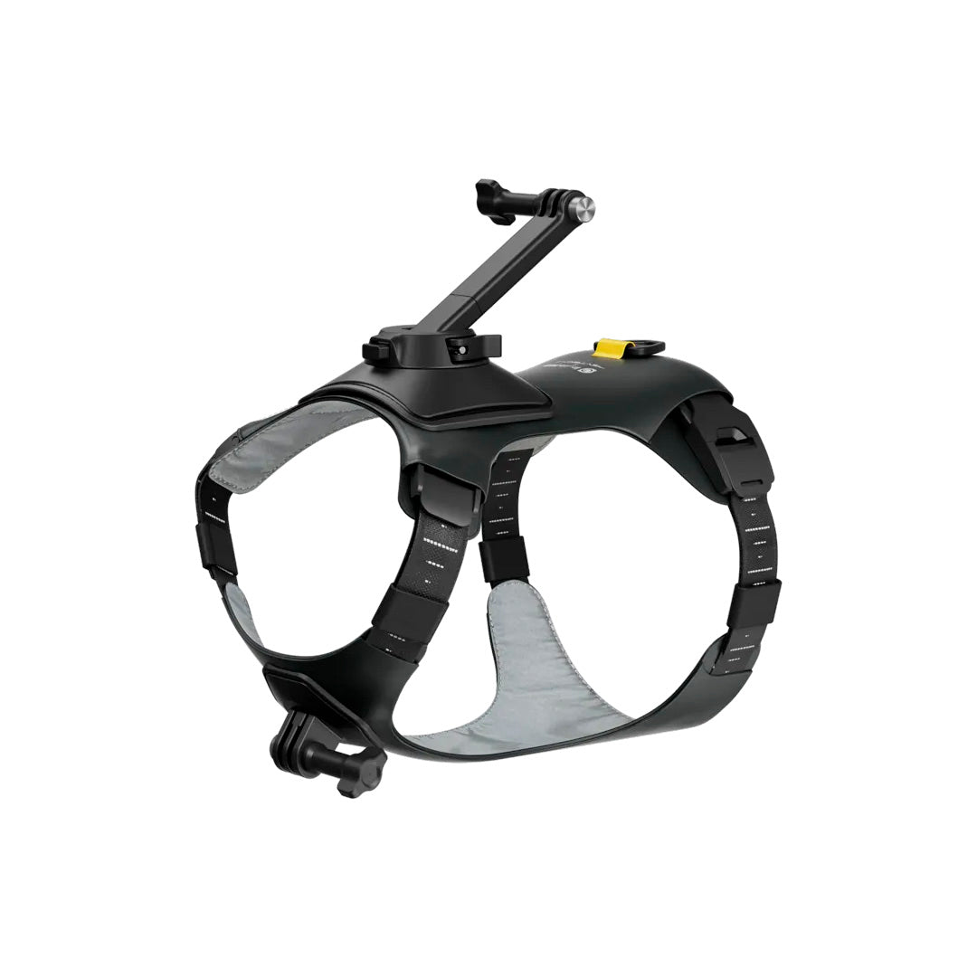 Montura de arnés para mascotas talla M - Insta360 Colombia