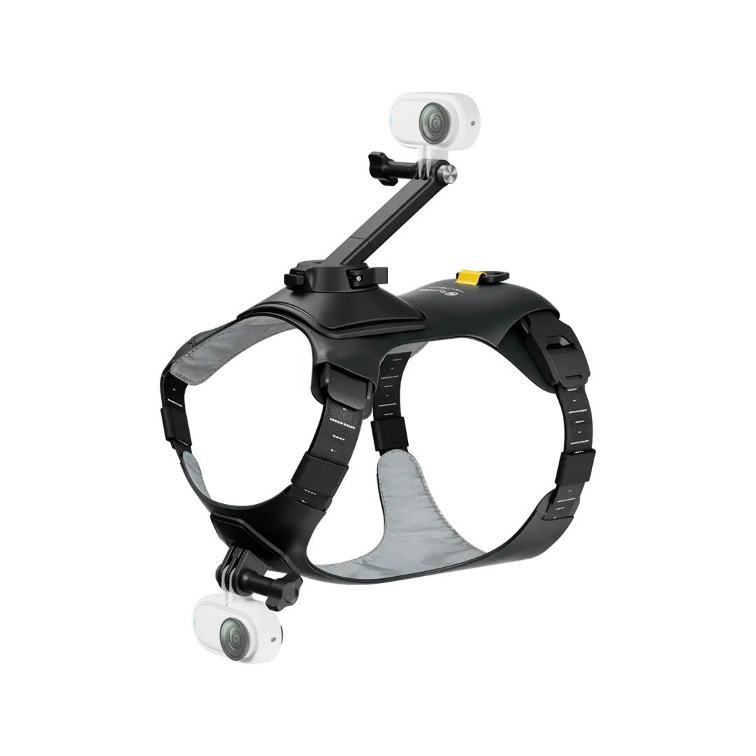 Montura de arnés para mascotas talla M - Insta360 Colombia
