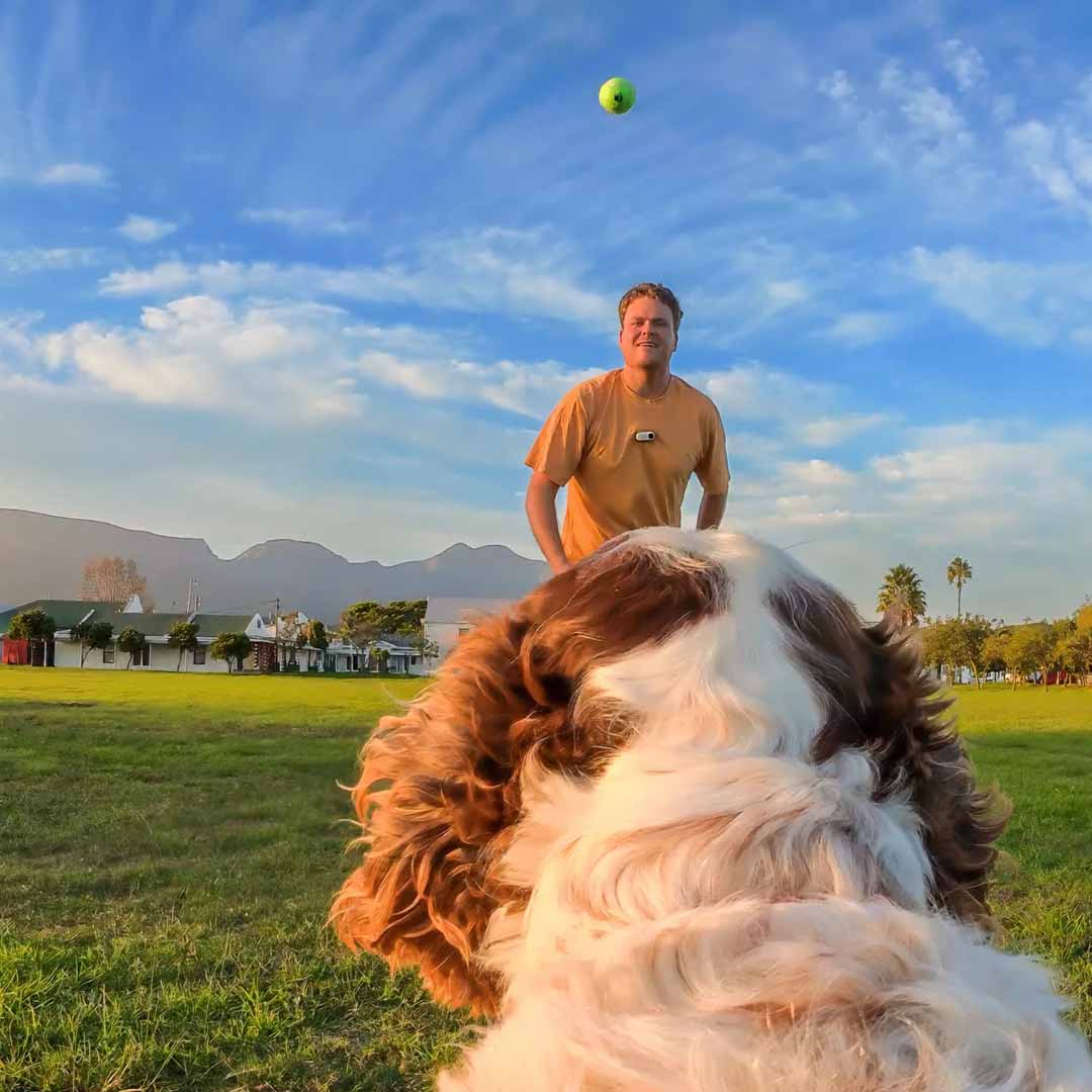 Montura de arnés para mascotas talla M - Insta360 Colombia